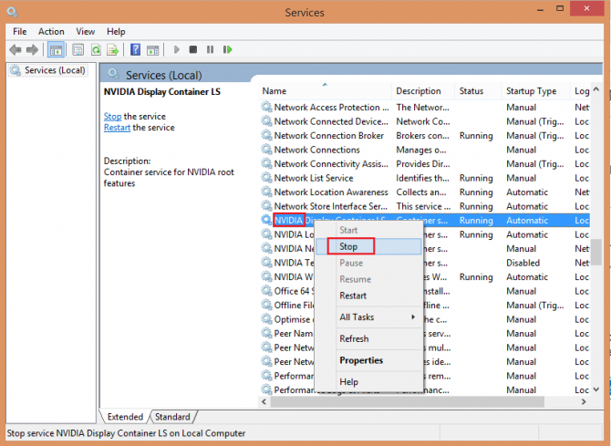 Stopping Nvidia Display Container LS