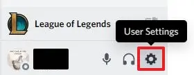 User Settings for Discord.