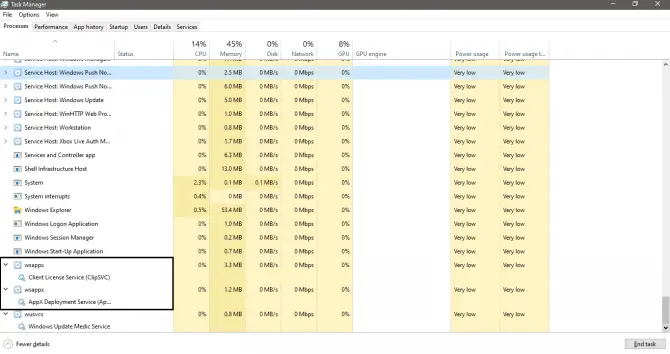 wsappx as seen on WIndows Task Manager
