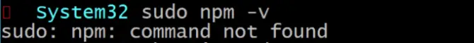 npm command not found error message
