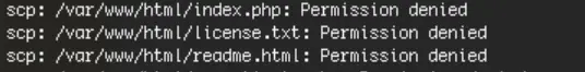 SCP permission denied error message in Linux terminal