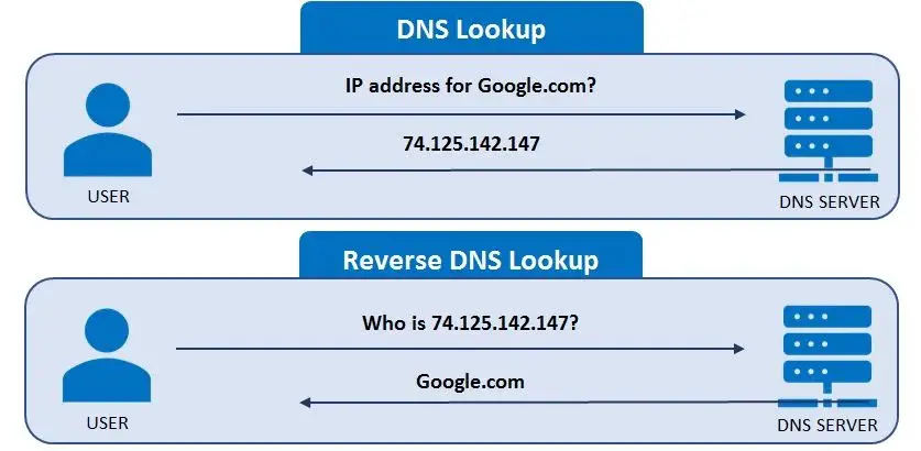 DNS lookup process