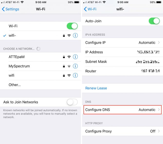 Apple iPad configure DNS option