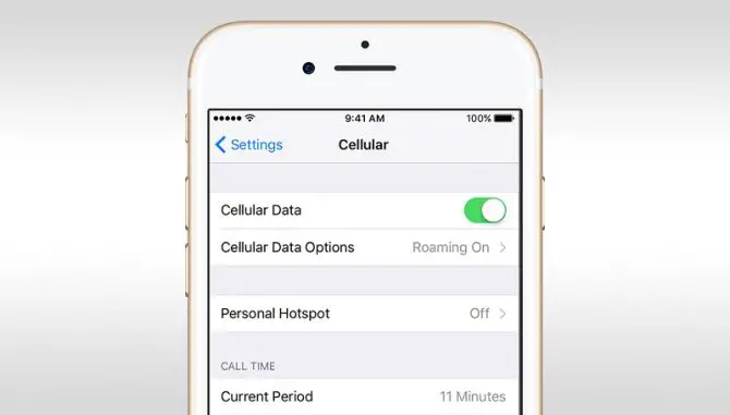 cellular data options on iPhone settings