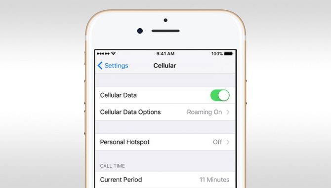 cellular data options on iPhone settings