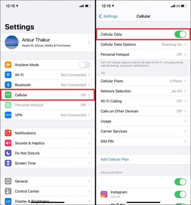 cellular data option in iPhone