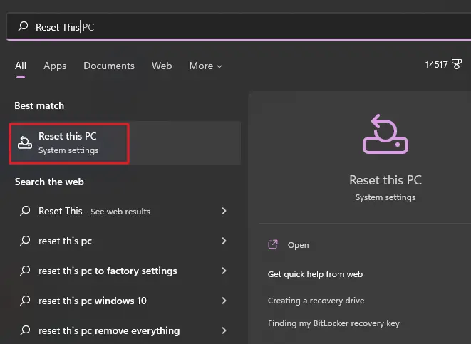 reset this pc search