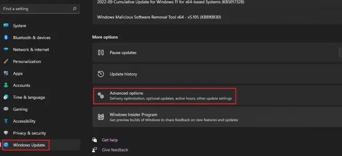 windows update - advanced options - delivery optimization