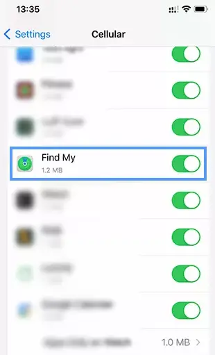 find my app in cellular data setting