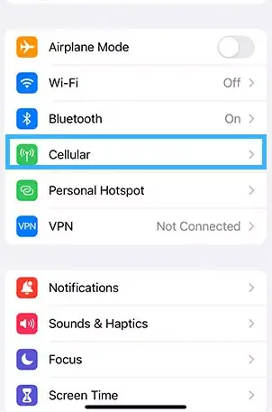 iPhone settings - cellular data option